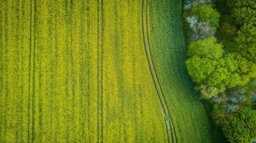 Per pirmą pusmetį ūkio subjektams suteikta beveik dvigubai daugiau garantijų ir kompensuota...