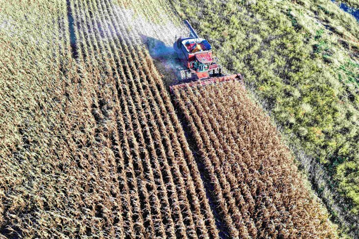 Lengvatines paskolas dėl karo Ukrainoje patiriantiems sunkumų ūkiams pradeda teikti ir LKU...